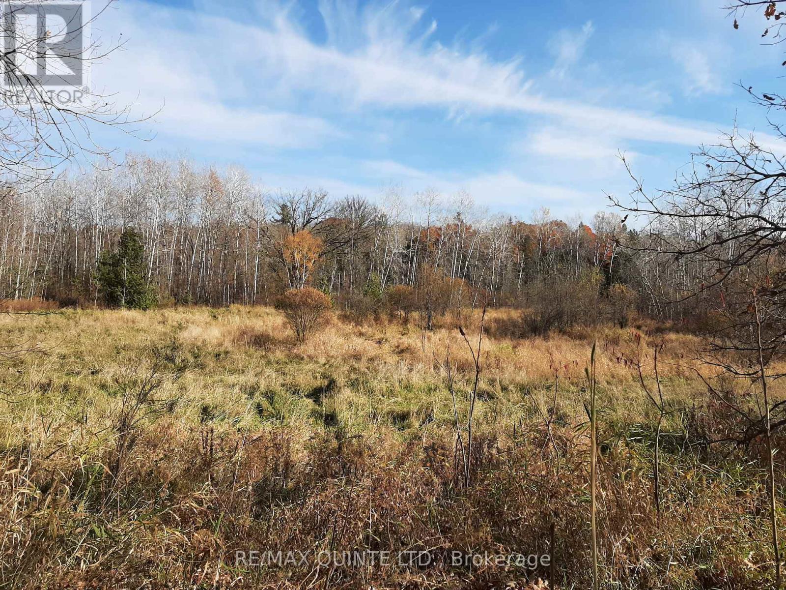 1578 Cooper Road, Madoc, Ontario K0K 2K0 - Photo 30 - X12108705