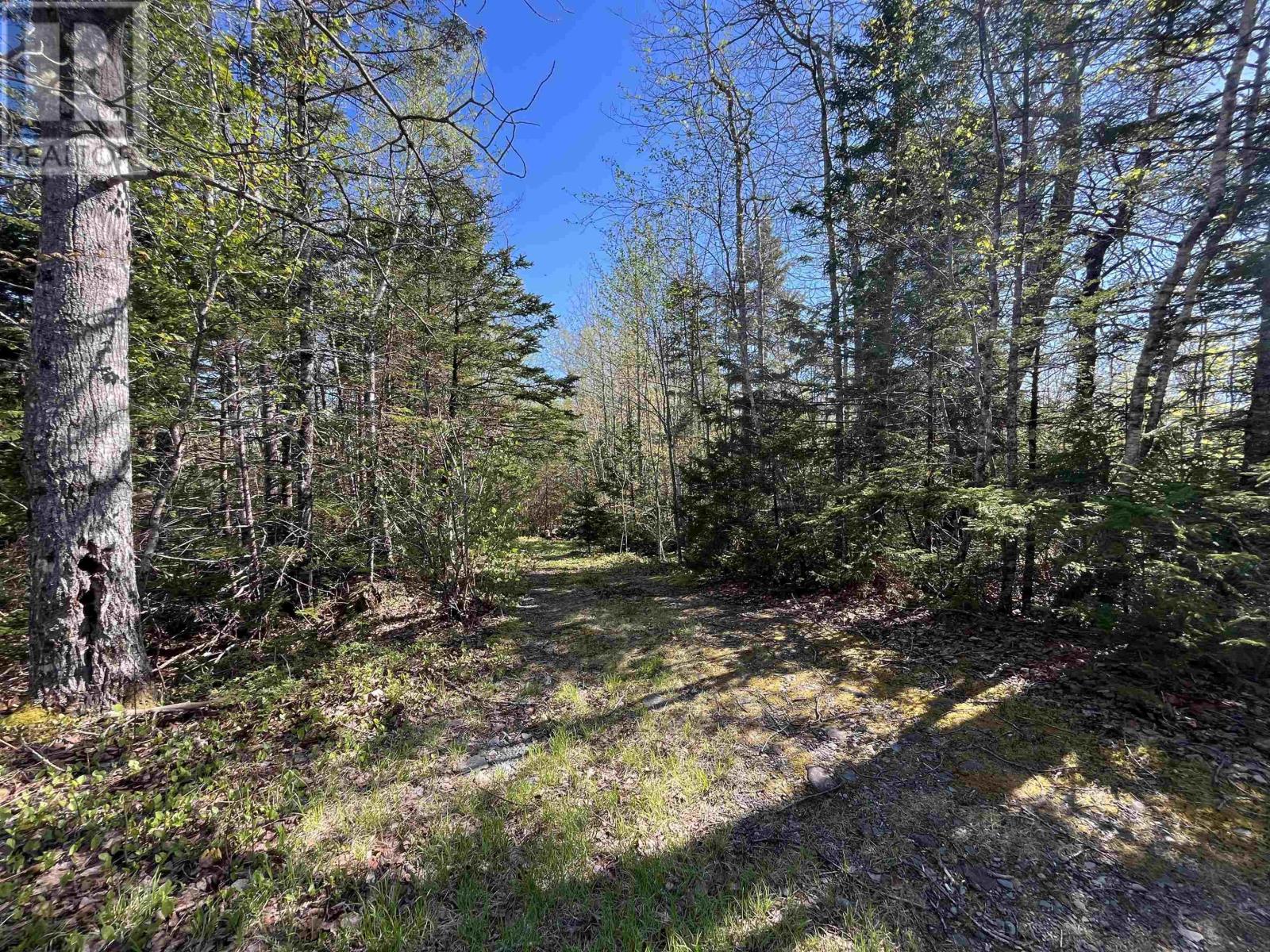1068 Placide Comeau Road, Meteghan Station, Nova Scotia  B0W 2L0 - Photo 9 - 202511581