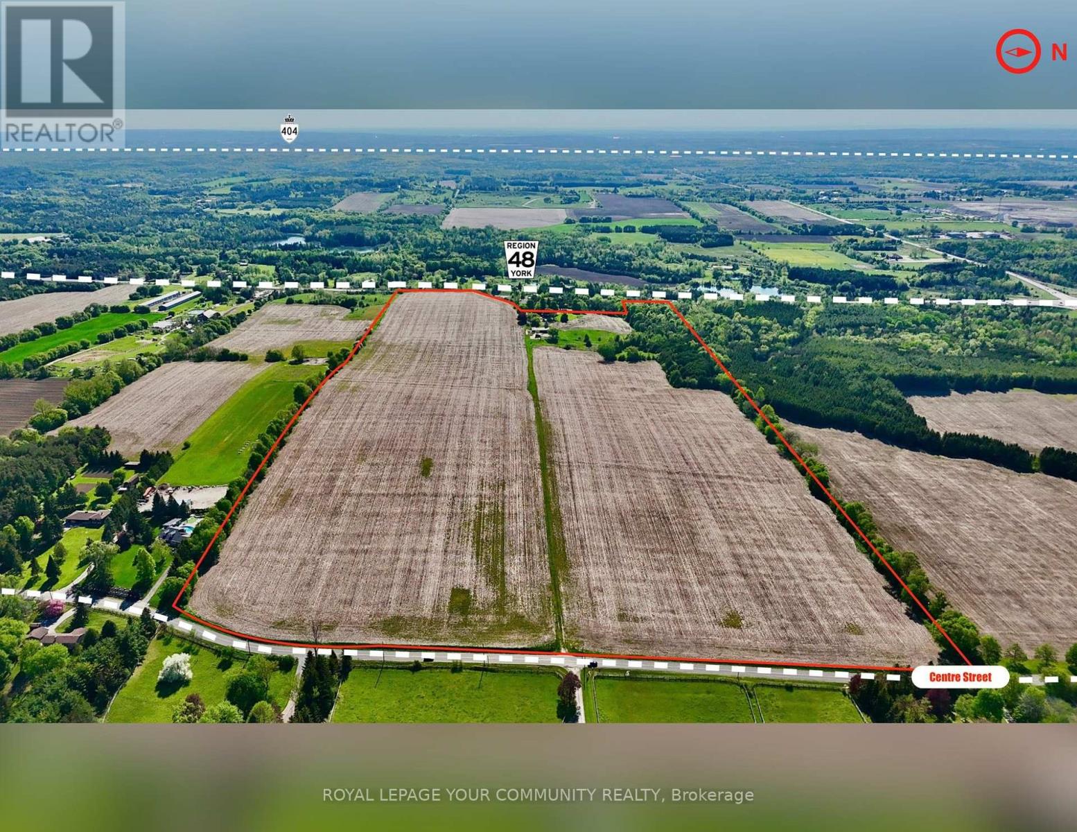 18609 Highway 48, East Gwillimbury (Mt Albert), Ontario  L0G 1M0 - Photo 2 - N12155378