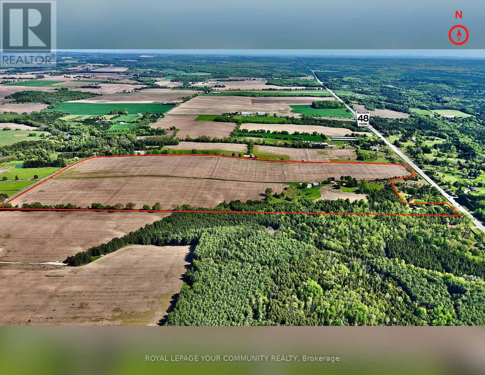 18609 Highway 48, East Gwillimbury (Mt Albert), Ontario  L0G 1M0 - Photo 3 - N12155378