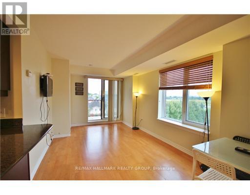 407 - 314 Central Park Drive, Ottawa, Ontario  K2C 0R2 - Photo 6 - X12159627