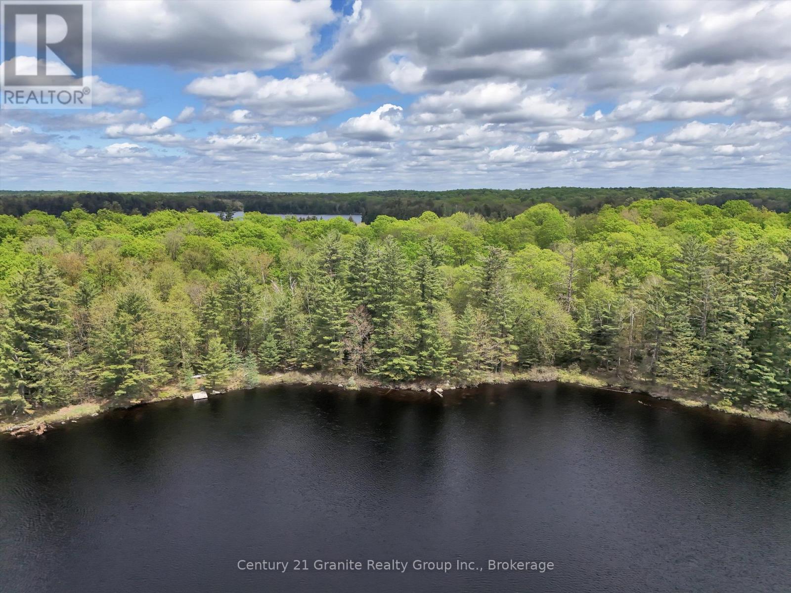 1120 S Clear Lake Road, Bracebridge, Ontario  P1L 1X1 - Photo 39 - X12158244