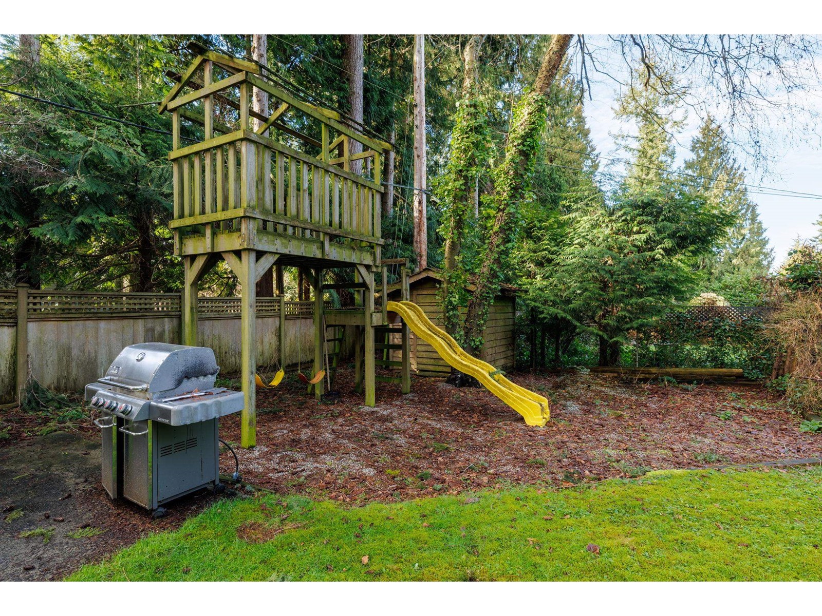2461 124th Street, Surrey, British Columbia  V4A 3N1 - Photo 39 - R3004324