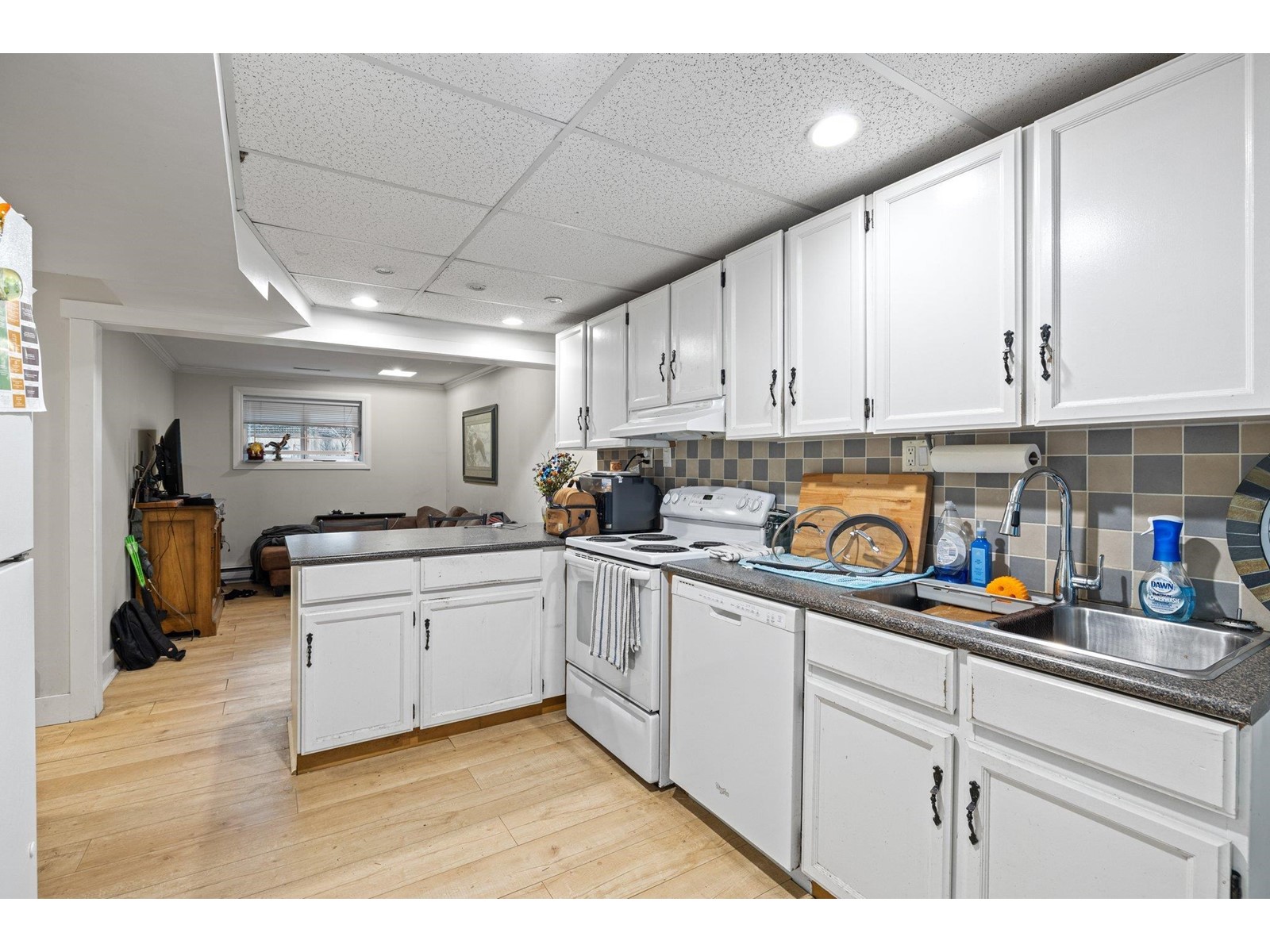 2461 124th Street, Surrey, British Columbia  V4A 3N1 - Photo 24 - R3004324