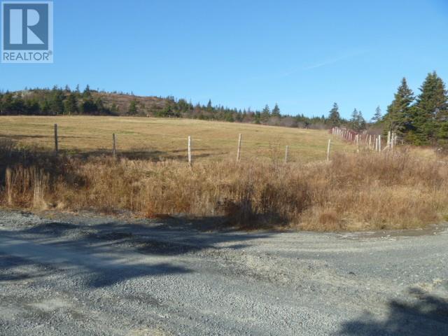 9-11 English Hill Extension, Carbonear, Newfoundland & Labrador  A1Y 1A8 - Photo 11 - 1285245