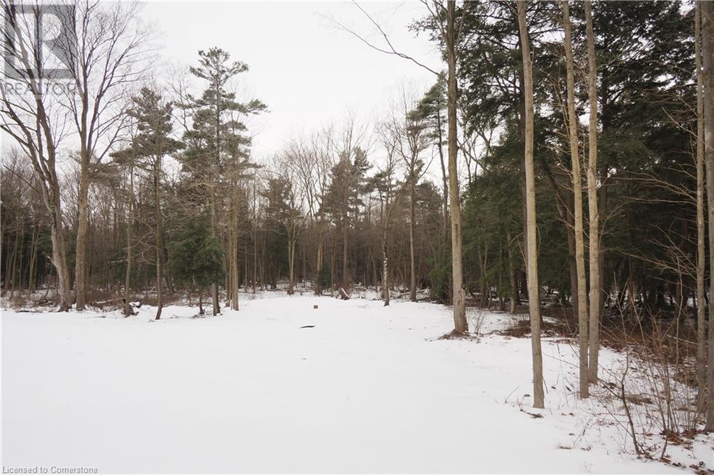3191 Windham West Quarter Line Road, Norfolk County, Ontario  N0E 1H0 - Photo 43 - 40730363