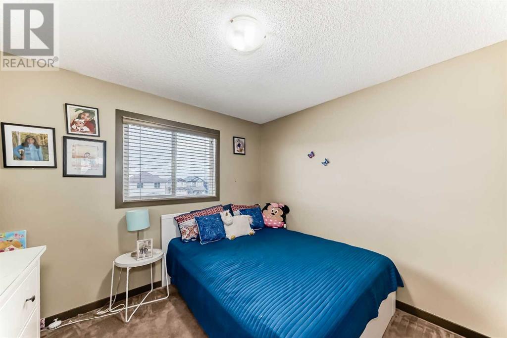 23 Skyview Springs Rise Ne, Calgary, Alberta  T3N 0A9 - Photo 31 - A2217874