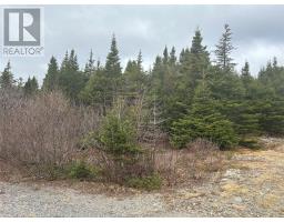 Lot #01 Slate Mine Road, Burgoynes Cove, Newfoundland & Labrador
