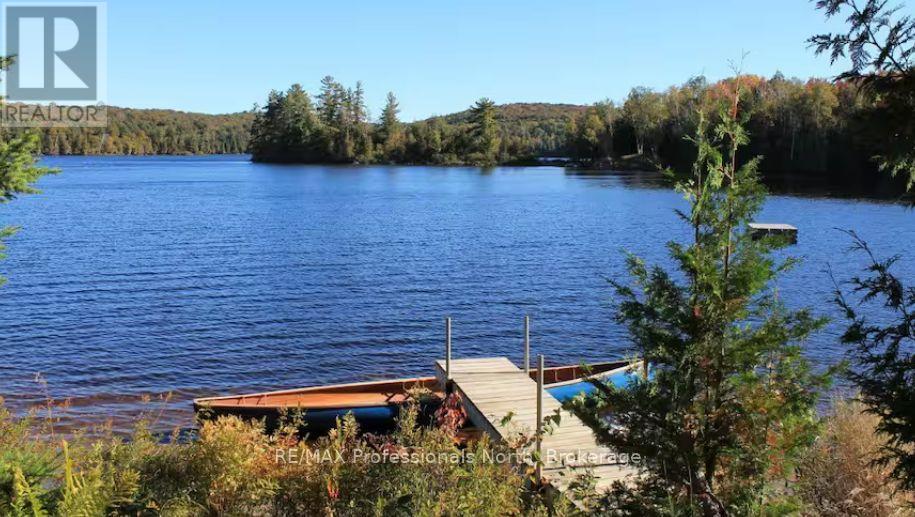 299 Sherwood Drive, Perry, Ontario  P0A 1J0 - Photo 31 - X12120412