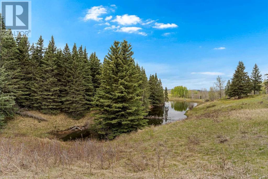 370100 272 Street W, Rural Foothills County, Alberta  T0L 1K0 - Photo 39 - A2221665