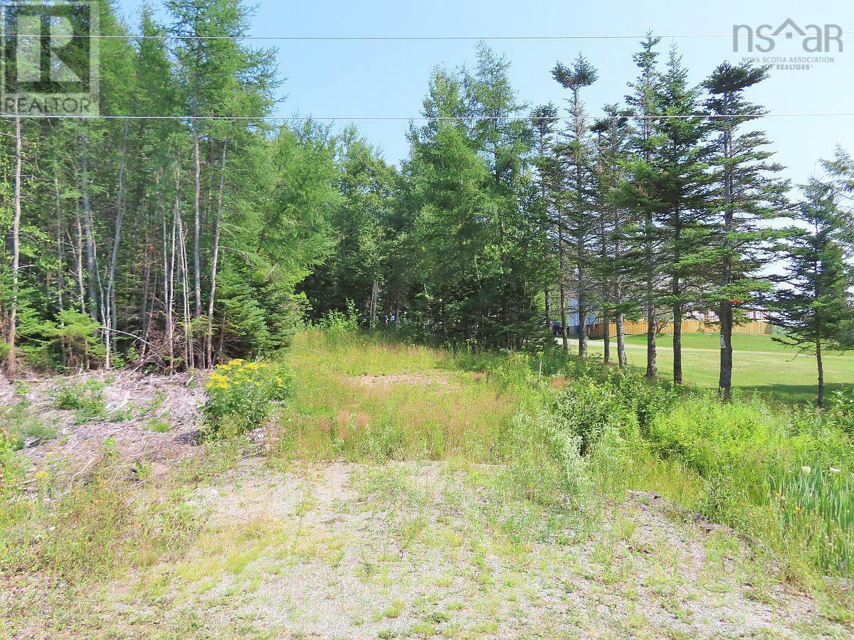 Lot 2 Lower River Road, Hureauville, Nova Scotia  B0E 1J0 - Photo 19 - 202423664