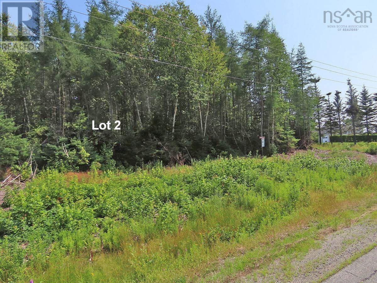 Lot 2 Lower River Road, Hureauville, Nova Scotia  B0E 1J0 - Photo 22 - 202423664