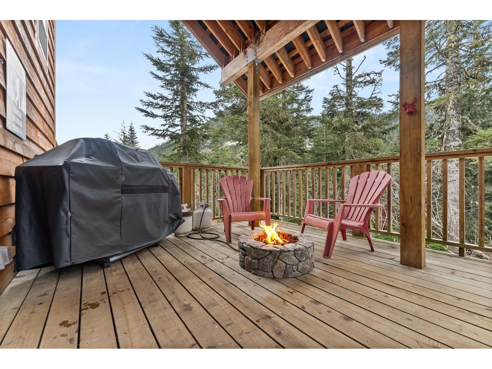 20803 Mount Keenan Road, Mission, British Columbia  V0M 1A1 - Photo 40 - R3004578