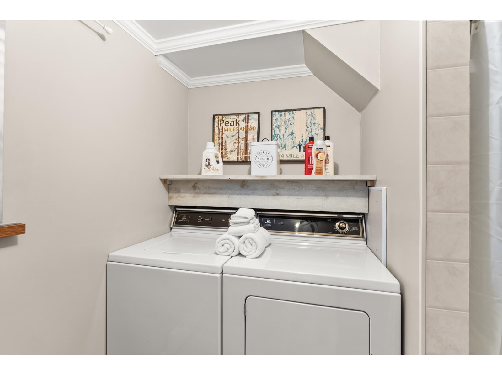 20803 Mount Keenan Road, Mission, British Columbia  V0M 1A1 - Photo 36 - R3004578