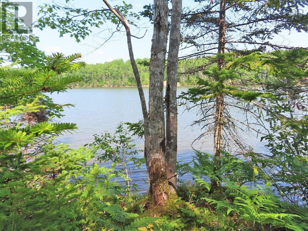 Lot 2 Lower River Road, Hureauville, Nova Scotia  B0E 1J0 - Photo 4 - 202423664
