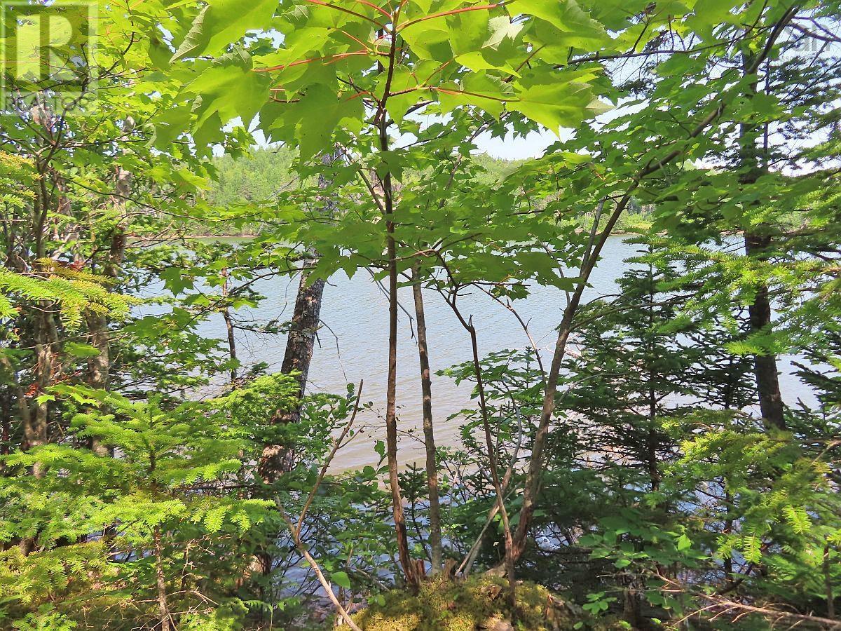 Lot 2 Lower River Road, Hureauville, Nova Scotia  B0E 1J0 - Photo 10 - 202423664