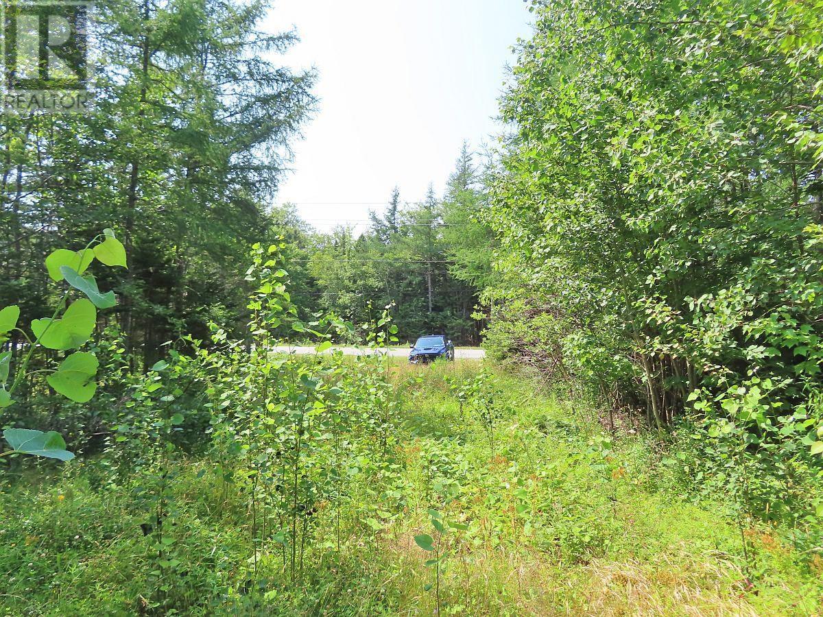Lot 2 Lower River Road, Hureauville, Nova Scotia  B0E 1J0 - Photo 18 - 202423664