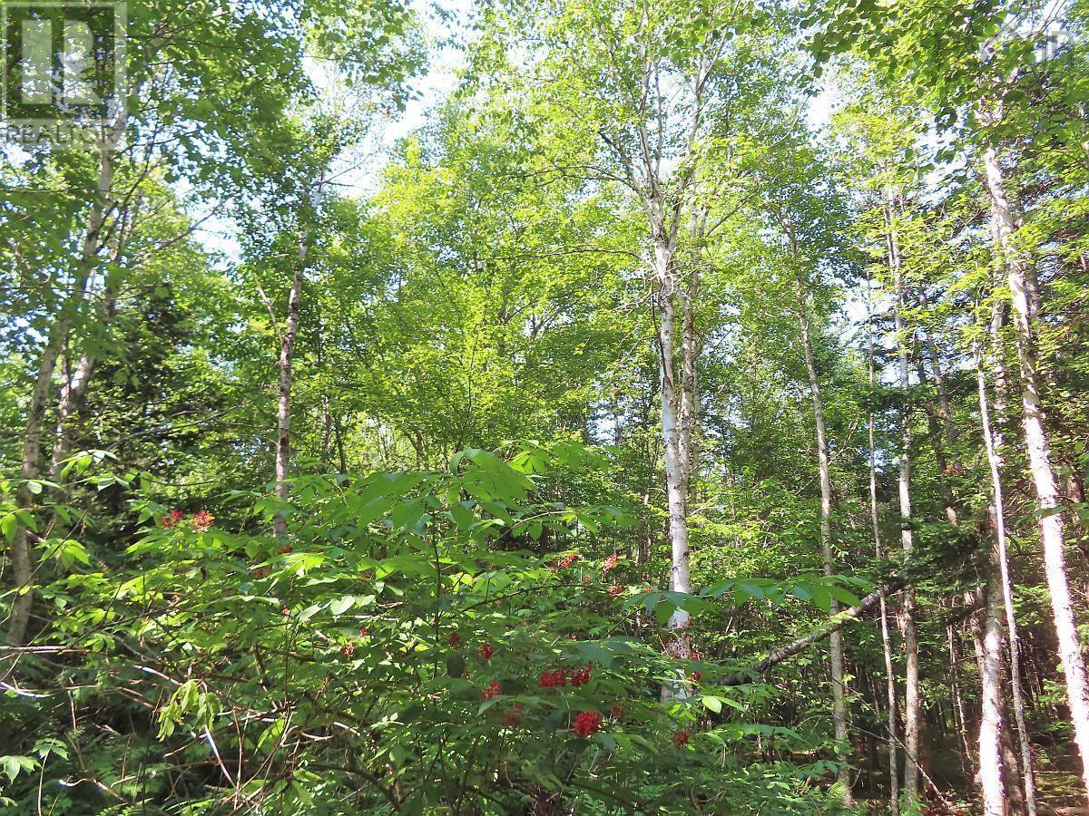 Lot 2 Lower River Road, Hureauville, Nova Scotia  B0E 1J0 - Photo 16 - 202423664