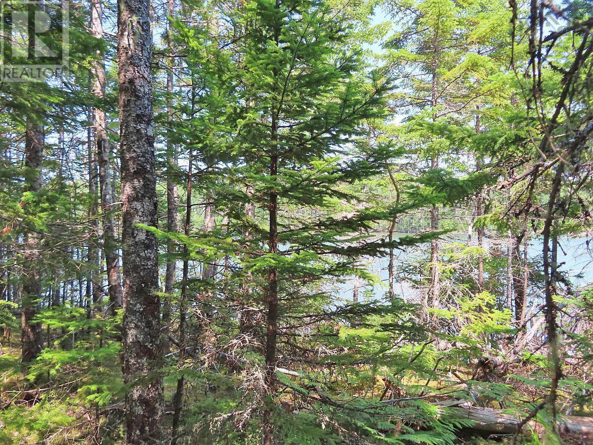 Lot 2 Lower River Road, Hureauville, Nova Scotia  B0E 1J0 - Photo 12 - 202423664