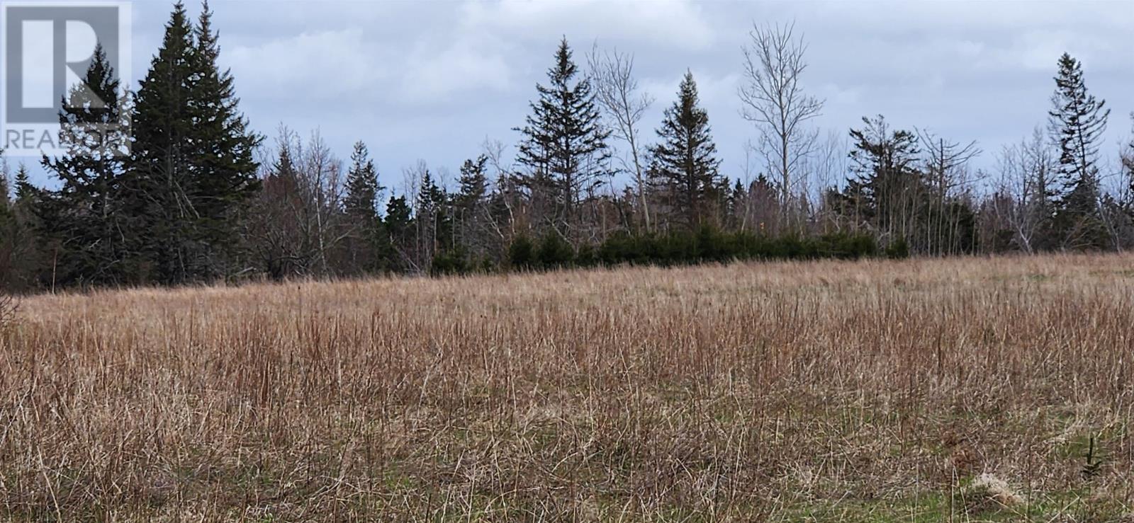 Acreage Beach Road, Launching, Prince Edward Island  C0A 1G0 - Photo 20 - 202511629