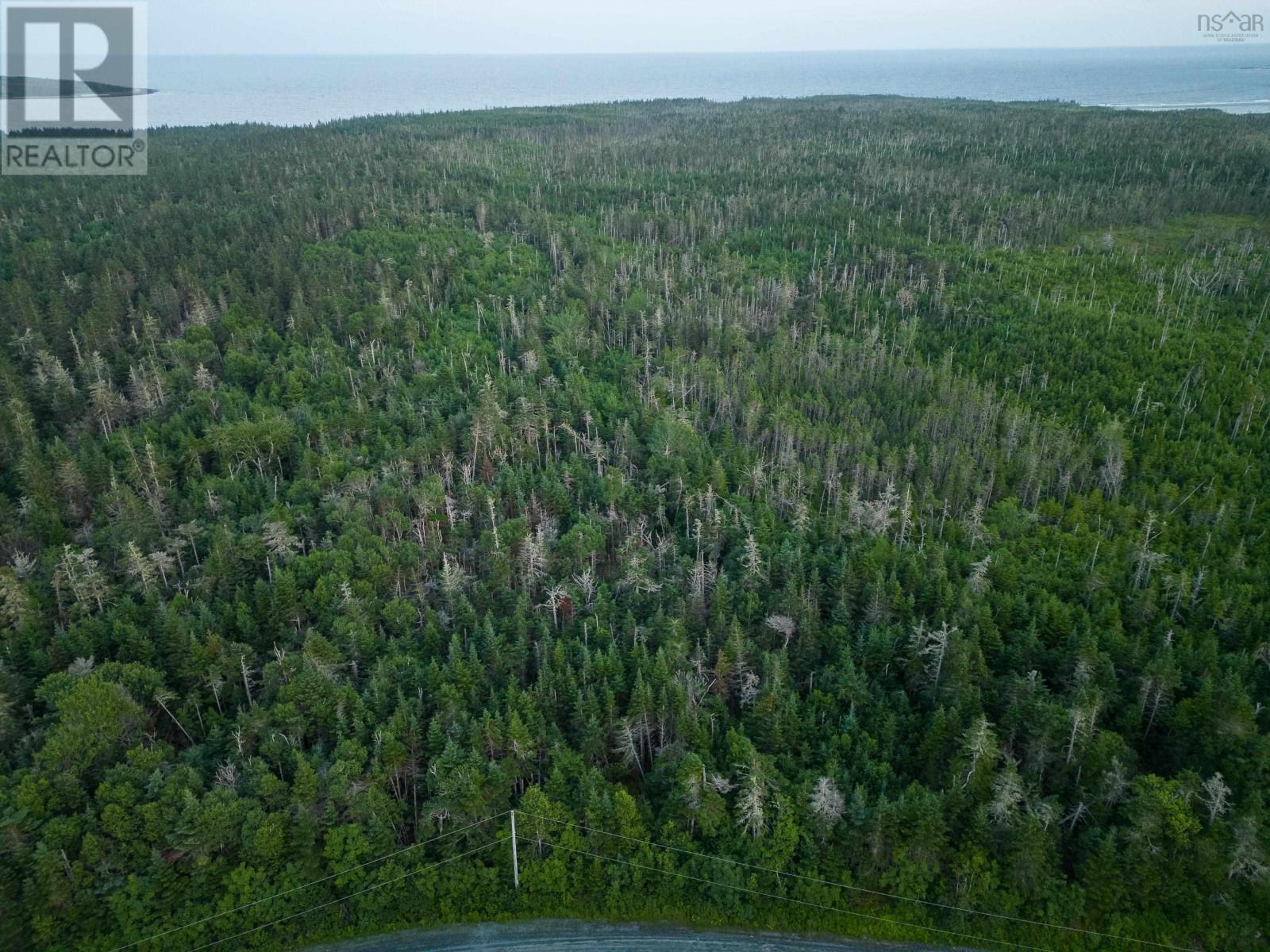 Lot 5 Conrod Beach Road, Lower East Chezzetcook, Nova Scotia  B0J 2L0 - Photo 23 - 202511625