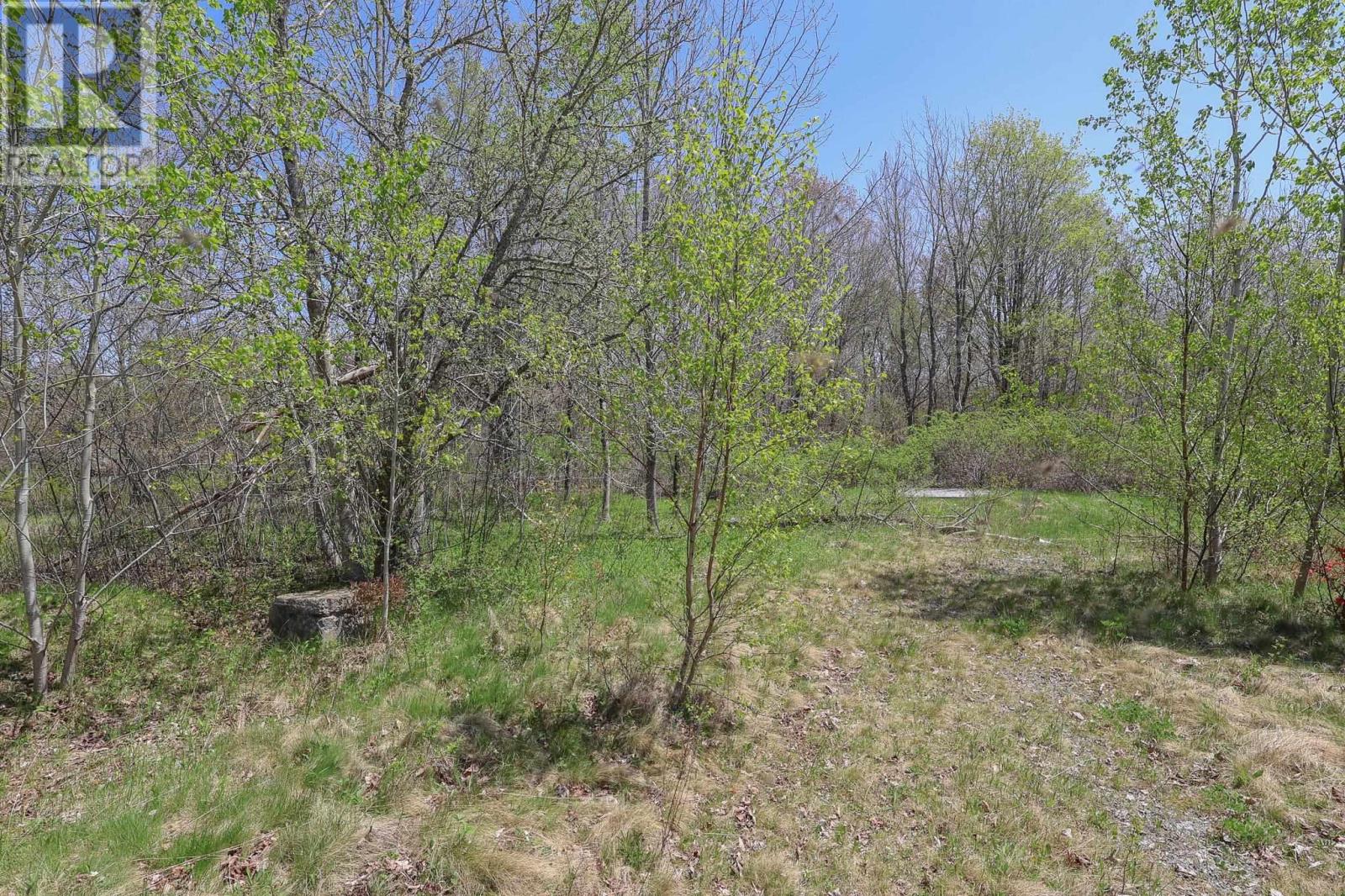 Lot Pid70136619 Westfield Road, Caledonia, Nova Scotia  B0T 1B0 - Photo 10 - 202511637