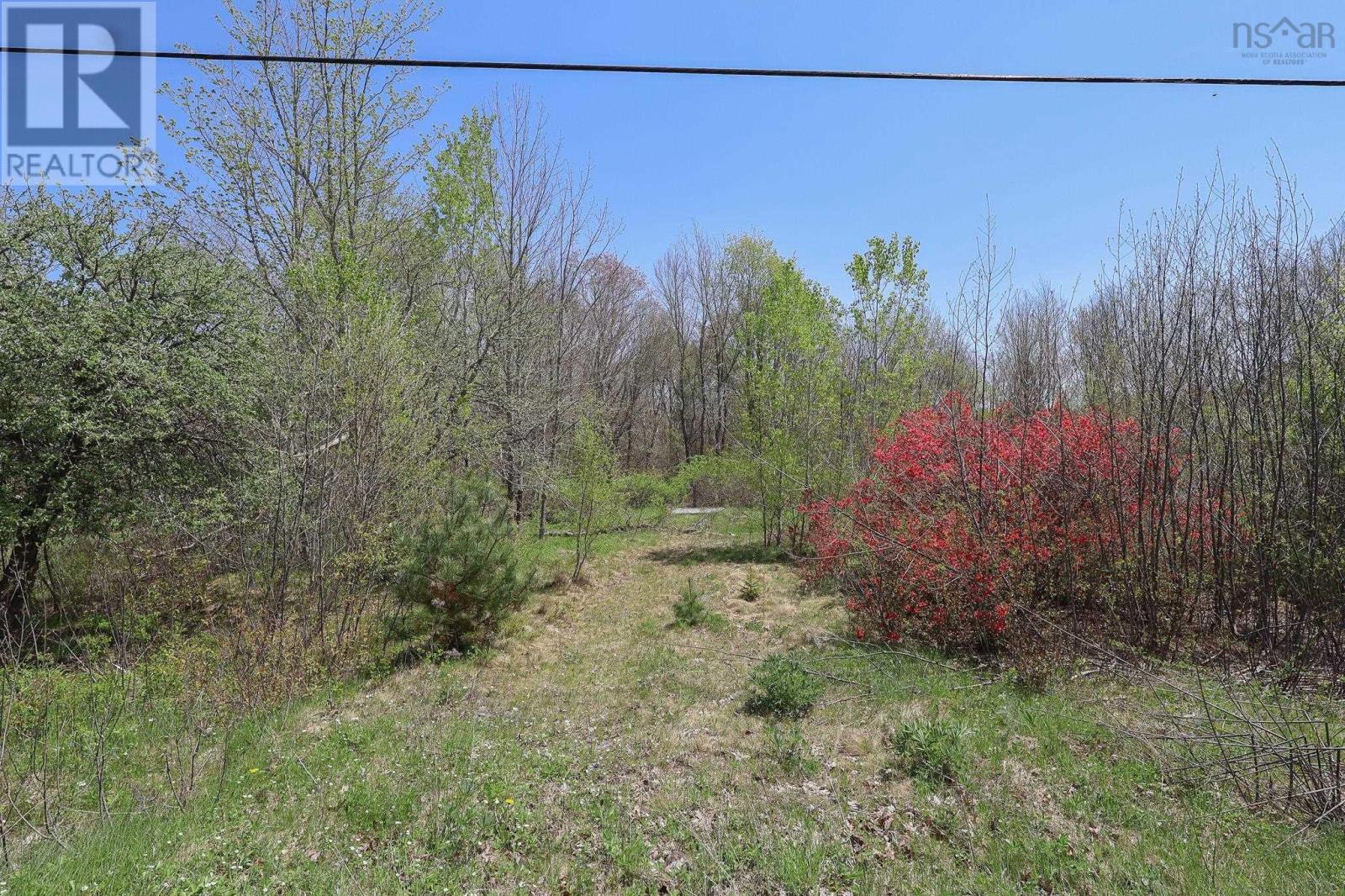 Lot Pid70136619 Westfield Road, Caledonia, Nova Scotia  B0T 1B0 - Photo 4 - 202511637