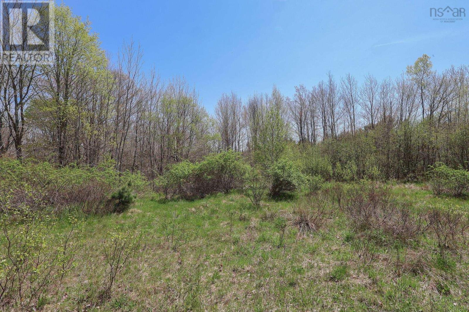 Lot Pid70136619 Westfield Road, Caledonia, Nova Scotia  B0T 1B0 - Photo 9 - 202511637