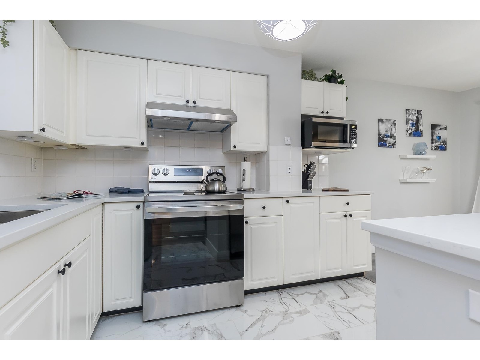 46 9036 208 Street, Langley, British Columbia  V1M 3L4 - Photo 9 - R2982959