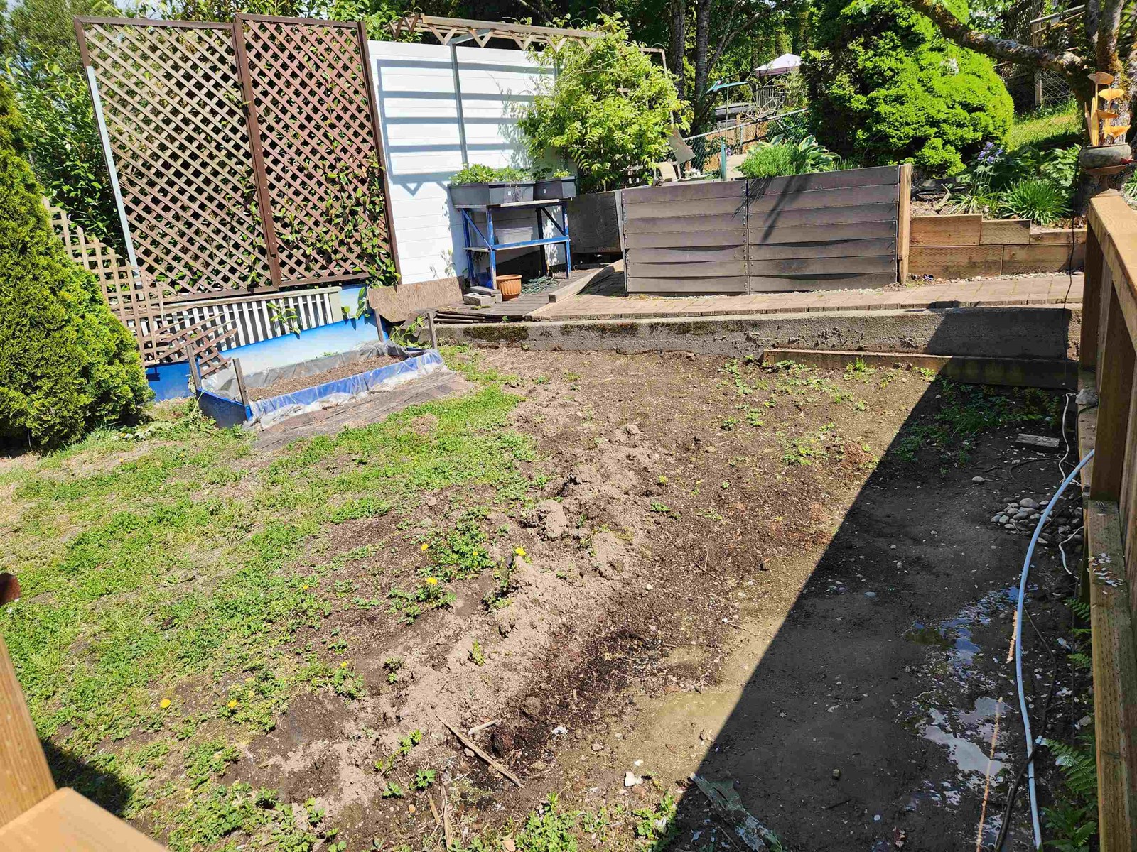 11368 Alpen Place, Surrey, British Columbia  V3R 6T3 - Photo 37 - R3004594