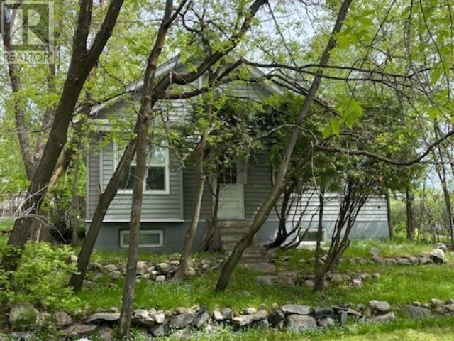 236 Fourth St N, Kenora, Ontario  P9N 2M7 - Photo 3 - TB251259