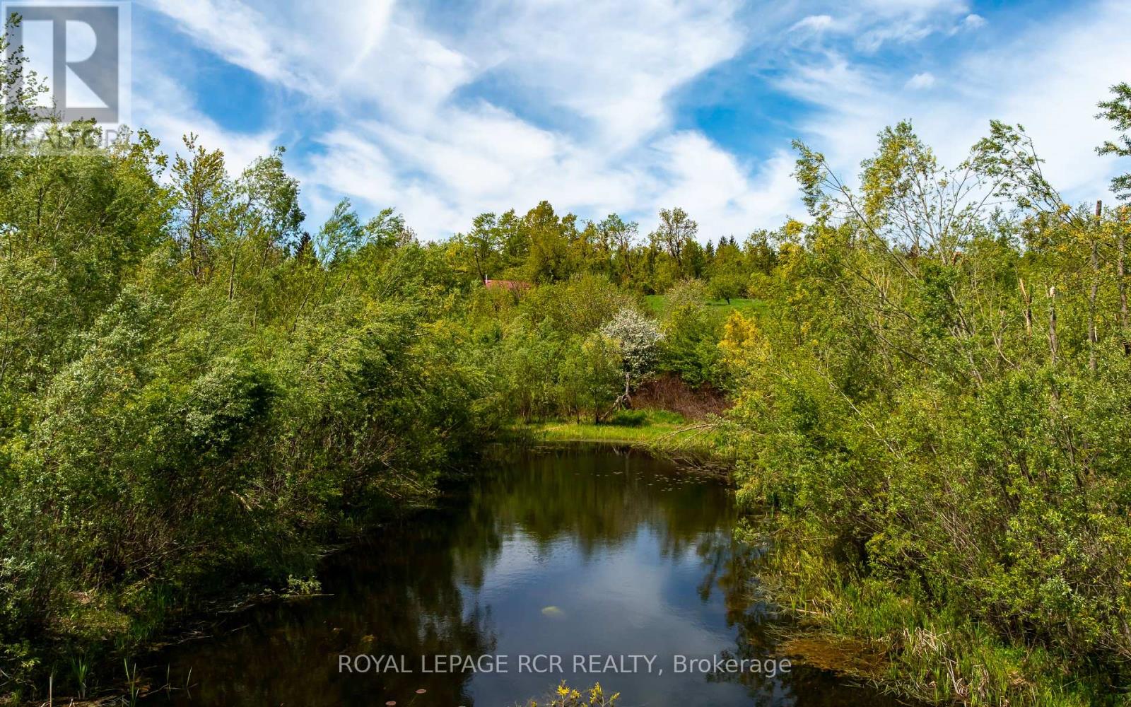 555463 Mono-Amaranth Townline, Mono, Ontario  L9V 0Z1 - Photo 17 - X12155098