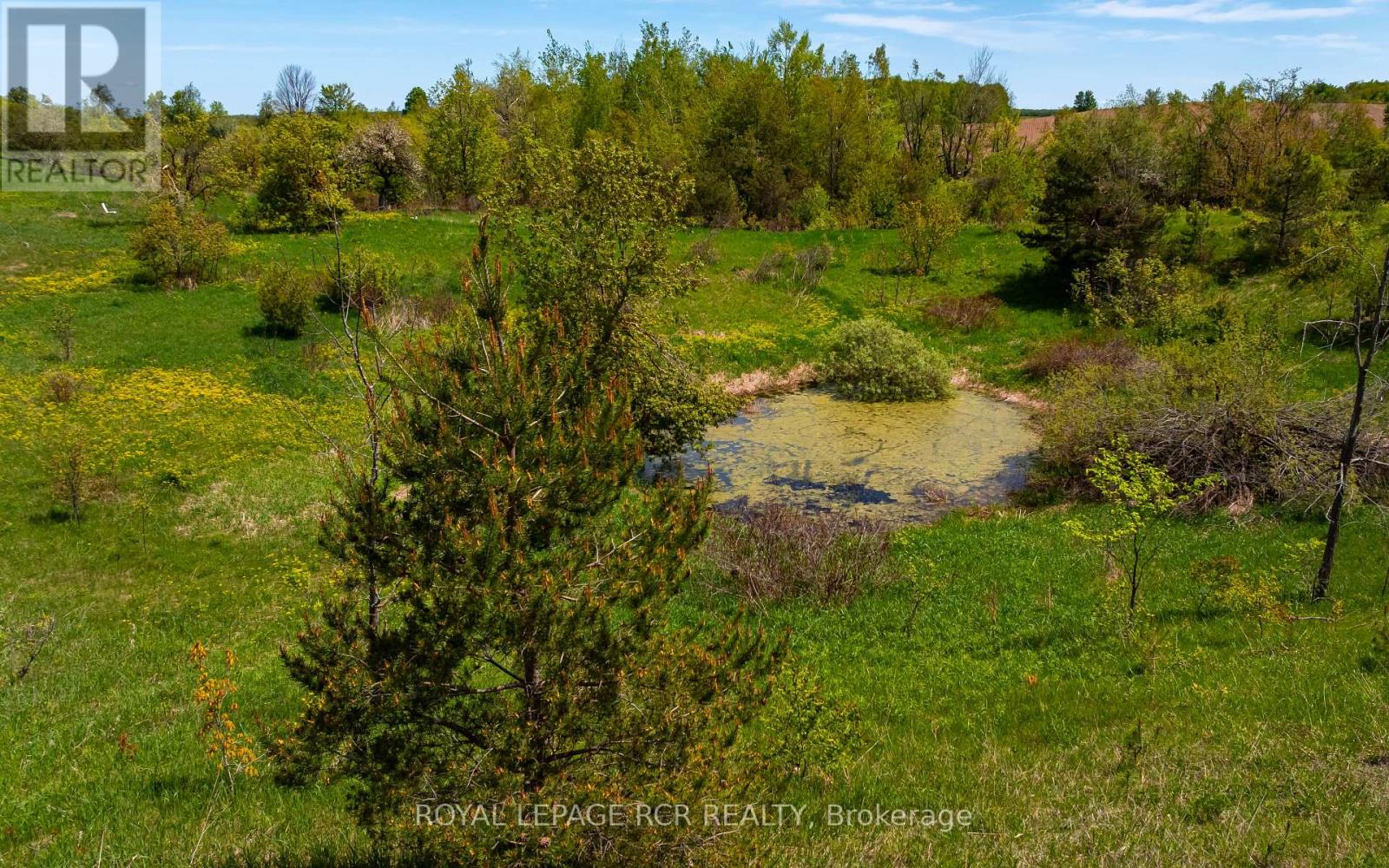 555463 Mono-Amaranth Townline, Mono, Ontario  L9V 0Z1 - Photo 21 - X12155098
