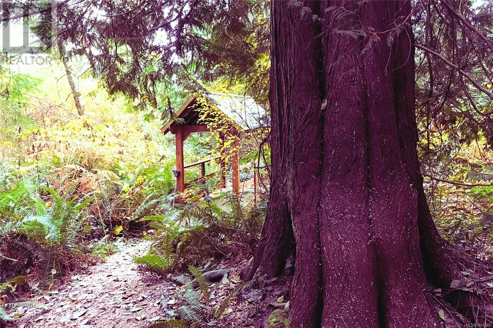6662 Island Hwy W, Bowser, British Columbia  V0R 1G0 - Photo 25 - 1000397