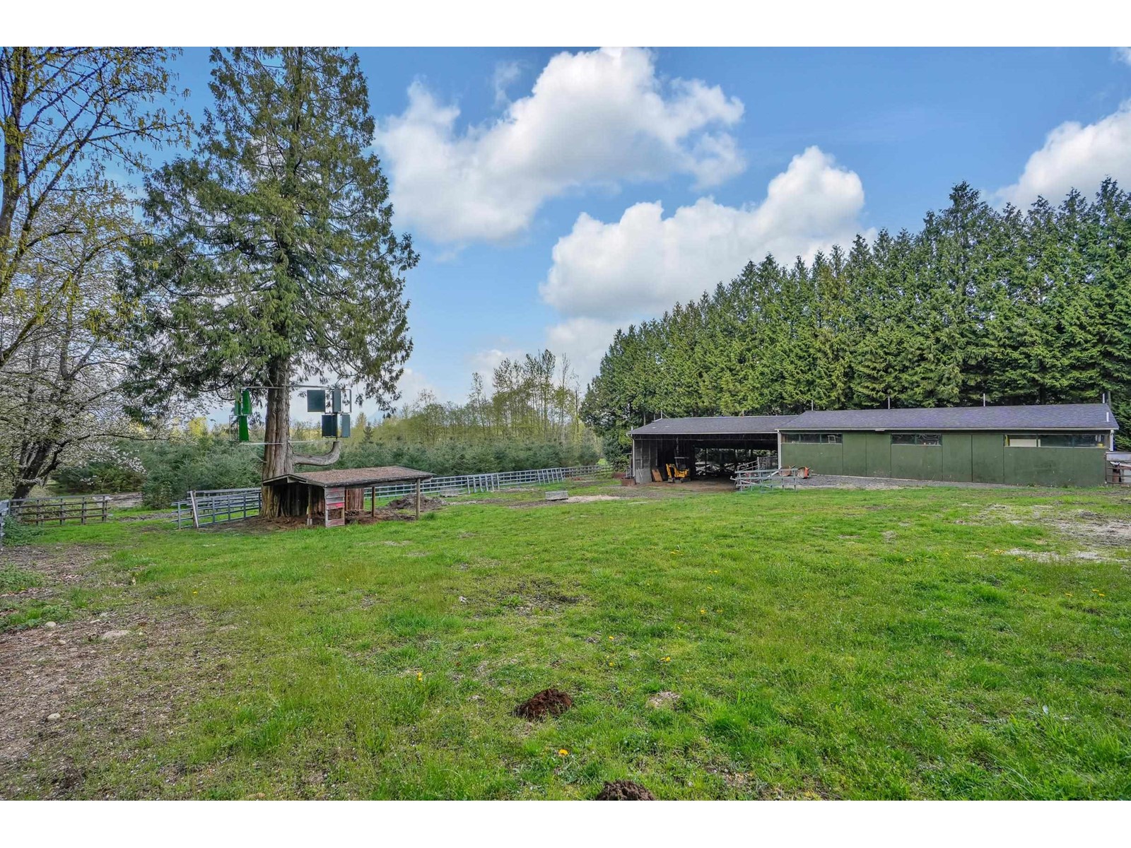 18647 92 Avenue, Surrey, British Columbia  V4N 3Z1 - Photo 11 - R3004271