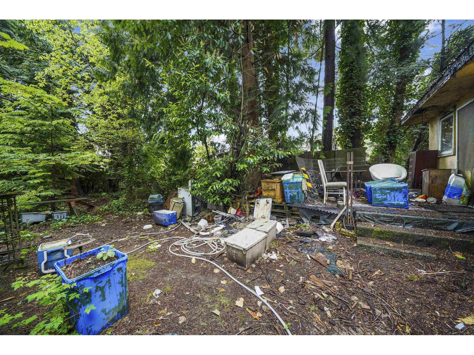 14924 90a Avenue, Surrey, British Columbia  V3R 1B4 - Photo 6 - R3004764