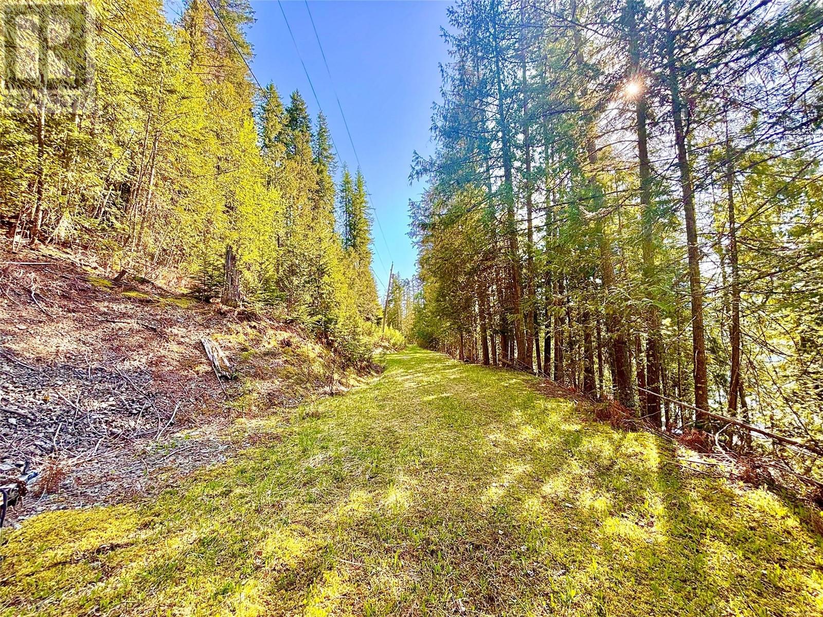 3614 Lumby Mabel Lake Road, Lumby, British Columbia  V0E 2G6 - Photo 39 - 10348481