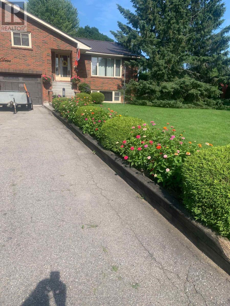 Property at 11 RIVERVIEW DRIVE image 5