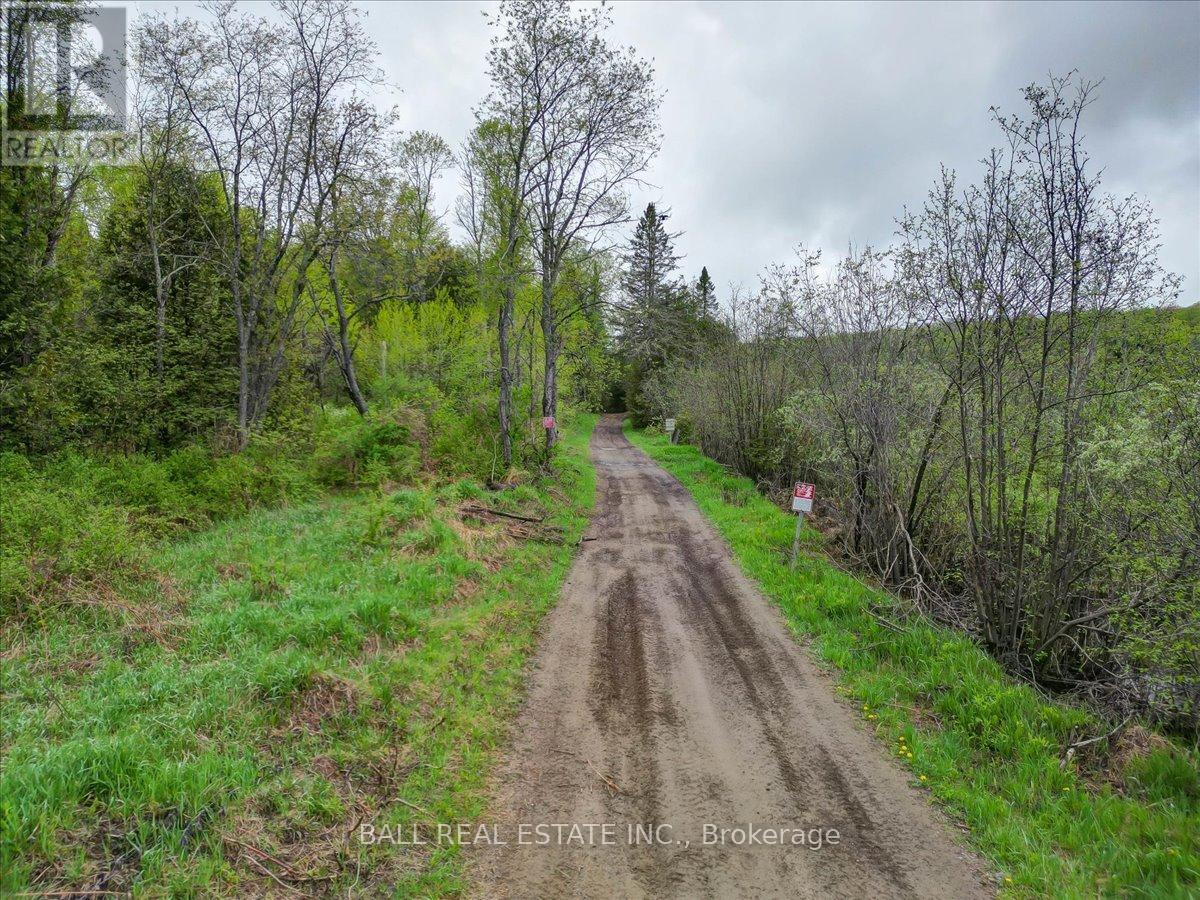 0 Part Lot 39 - 40, Limerick, Ontario  K0L 1P0 - Photo 10 - X12129719
