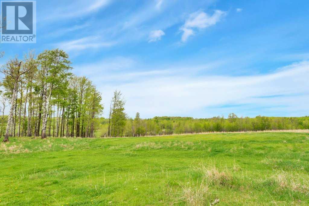 445004 Rr #42, Rural Ponoka County, Alberta  T0C 0M0 - Photo 22 - A2222929
