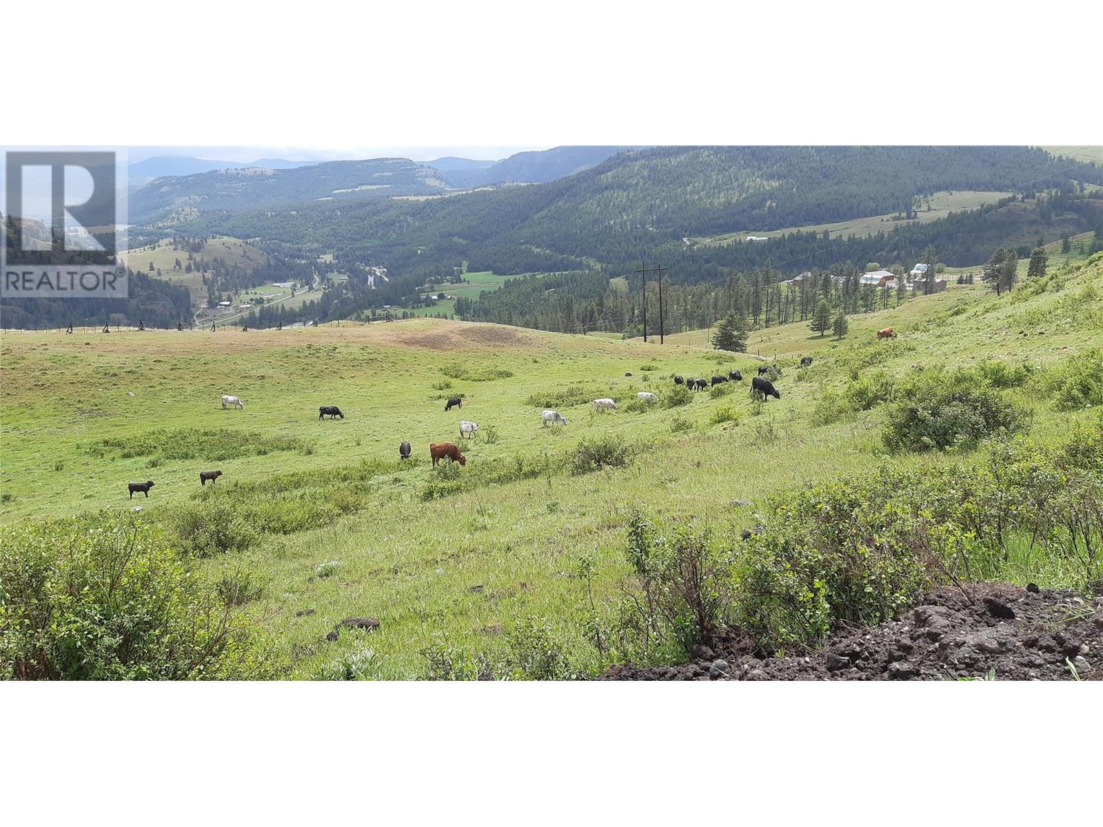 1720 Hulme Creek Road, Rock Creek, BC V0H1Y0