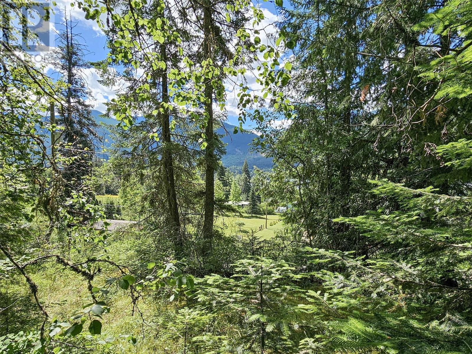 Lot 1 Longbeach Road, Nelson, British Columbia  V1L 6P2 - Photo 9 - 10348637
