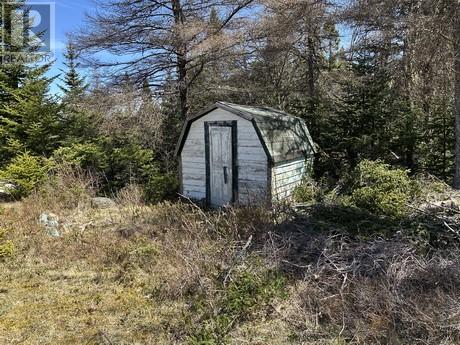 3 Gull Pond Road, New Harbour Barrens, Newfoundland & Labrador  A0A 1G0 - Photo 8 - 1285186