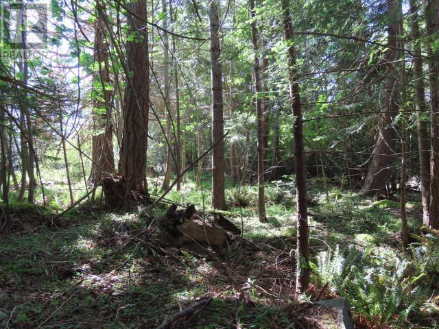 Lot M Gillies Bay Rd Road, Texada Island, British Columbia  V0N 1W0 - Photo 11 - 18984