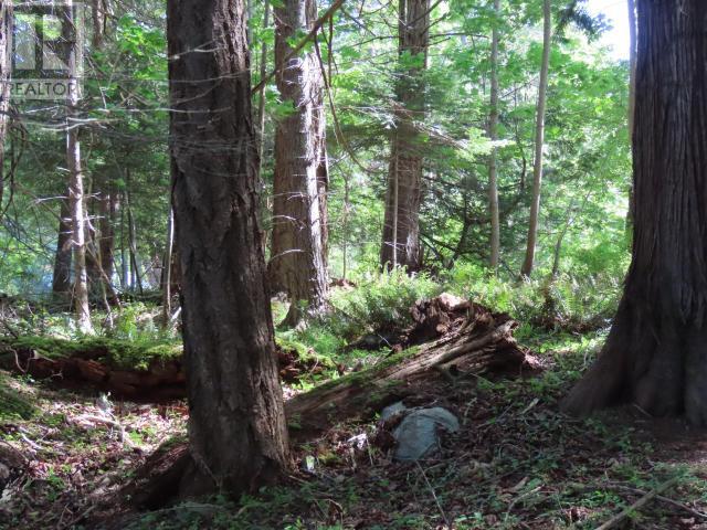 Lot M Gillies Bay Rd Road, Texada Island, British Columbia  V0N 1W0 - Photo 13 - 18984