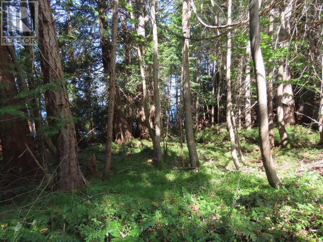 Lot M Gillies Bay Rd Road, Texada Island, British Columbia  V0N 1W0 - Photo 3 - 18984