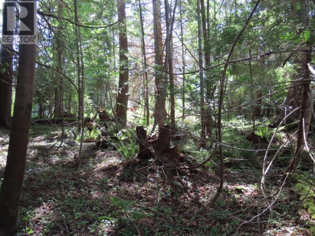Lot M Gillies Bay Rd Road, Texada Island, British Columbia  V0N 1W0 - Photo 12 - 18984
