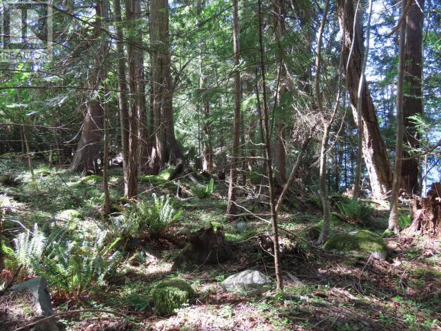 Lot M Gillies Bay Rd Road, Texada Island, British Columbia  V0N 1W0 - Photo 5 - 18984