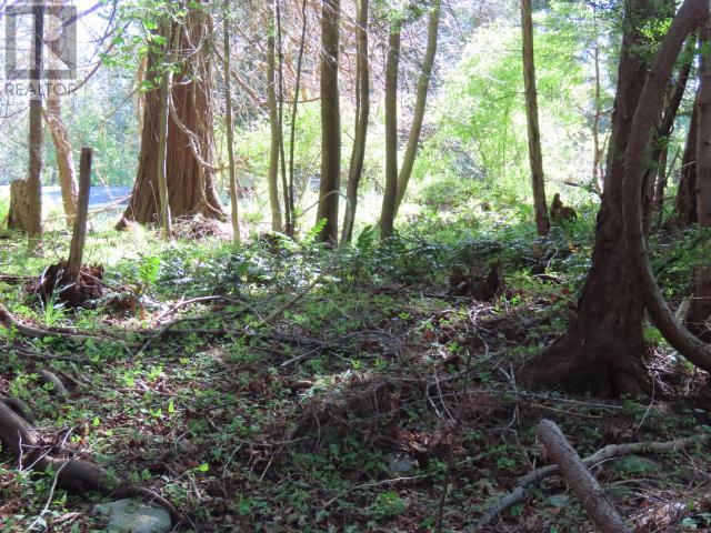 Lot M Gillies Bay Rd Road, Texada Island, British Columbia  V0N 1W0 - Photo 4 - 18984