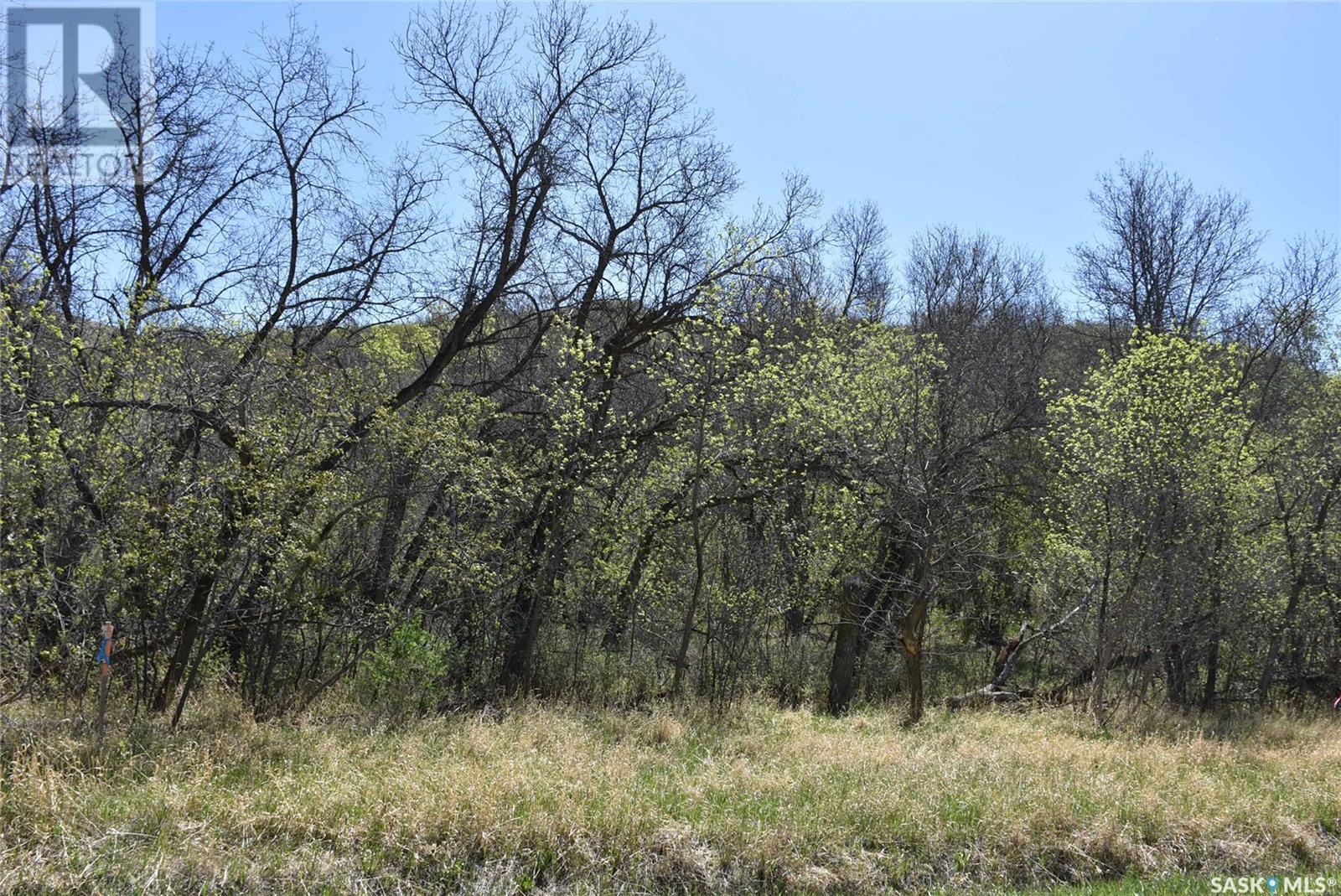 405 Mackie Street, North Qu'appelle Rm No. 187, Saskatchewan  S0G 1S0 - Photo 5 - SK006527